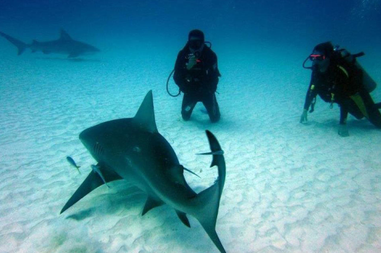 Akumal Dive Center is a PADI certified facility