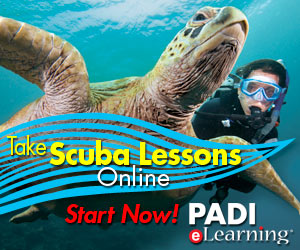 General eLearning Static Banner 1