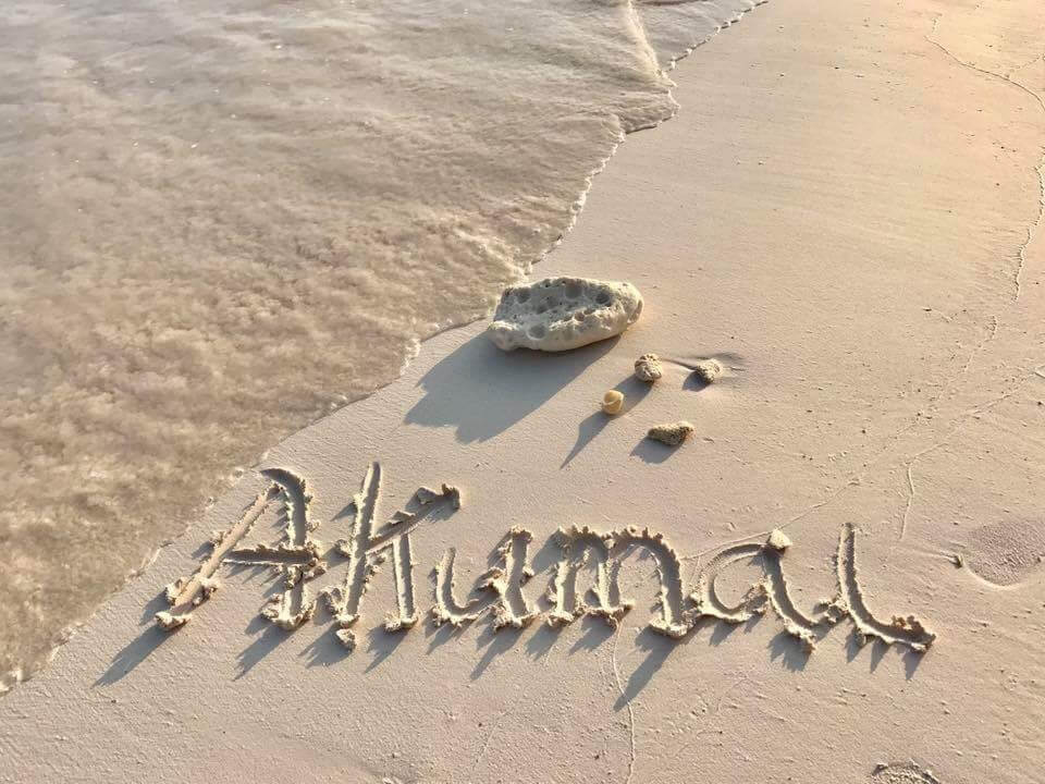 Cenotes in Riviera Maya perfect family vacations Akumal Dive Center